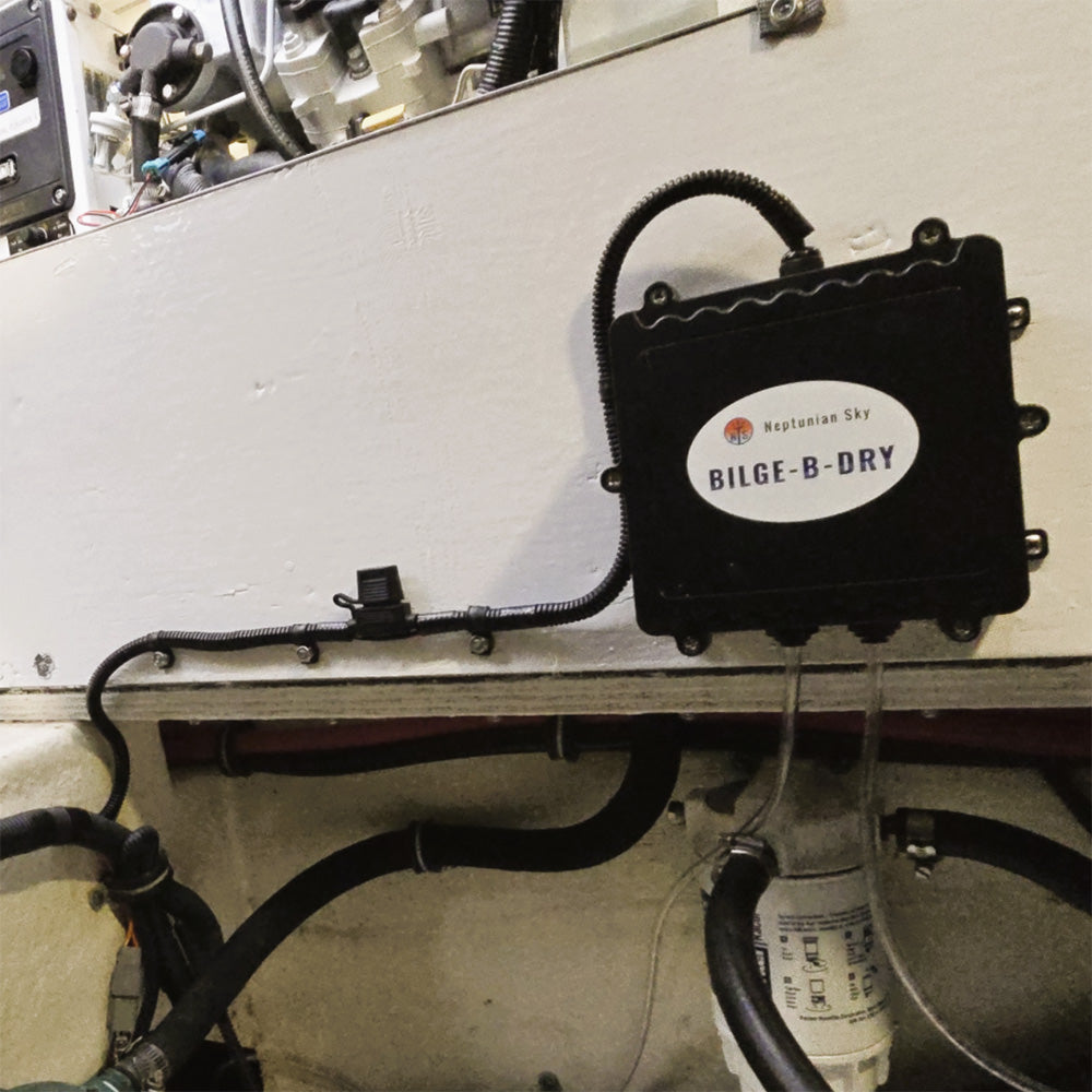 BILGE-B-DRY Dual Pump - 24VDC