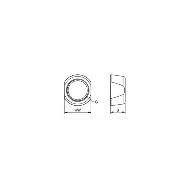 Lock Nut for APEX