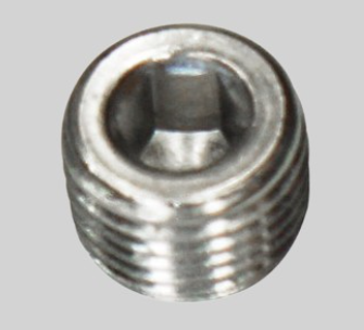 1/4 BSPT Plugs (hex socket)