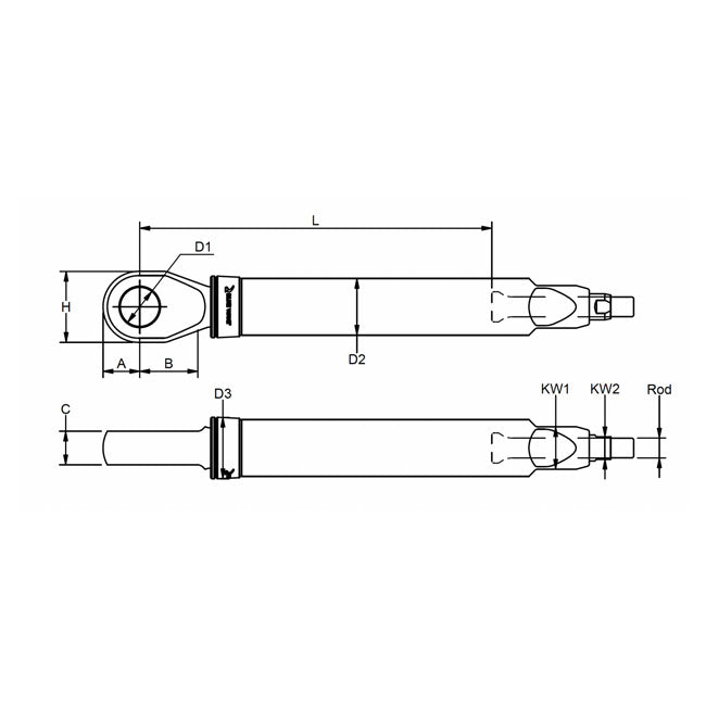 Rigging screw with eye